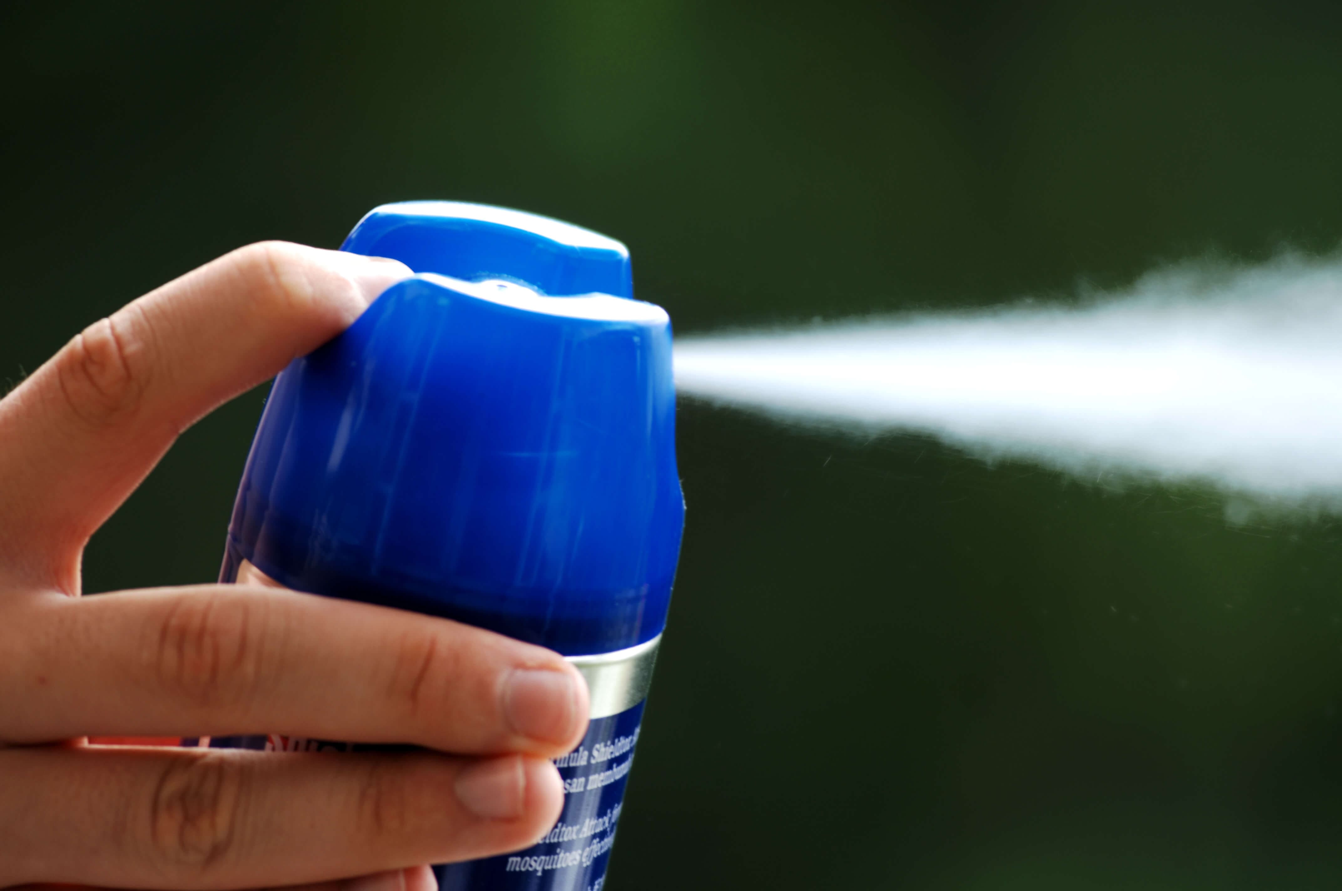 Do DIY Pest Sprays Work