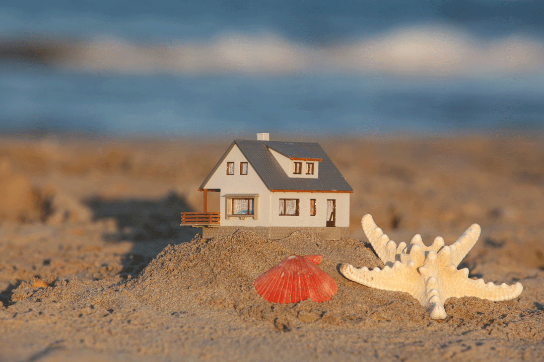 Horseflies-at-the-Beach-Accurate