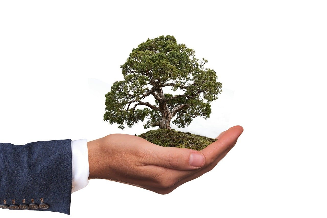 What is the Most Environmentally Friendly Pest Control Application?